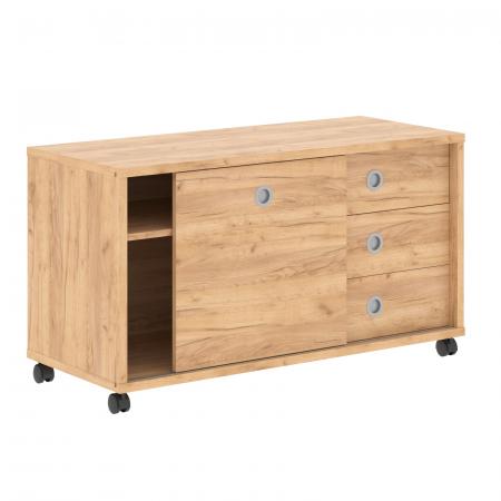 Тумба мобильная с дверью купе B 202.1A 1200х500х660