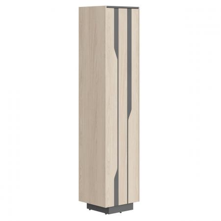 Шкаф СФ-574203 464х430х2100