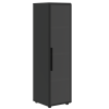 Шкаф со стеклянной дверью VRMCS 40.2(R) Яшма черный 0,082507125 VELION
